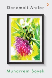 Denemeli Anılar - Cinius Yayınları