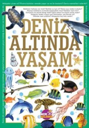 Deniz Altında Yaşam - Mor Kelebek