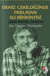 Deniz Çekildiğinde Parlayan Su Birikintisi - Klaros Yayınları