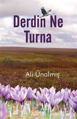 Derdin Ne Turna - İzan Yayıncılık