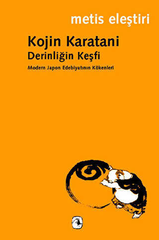 Derinliğin Keşfi - Metis Yayınları