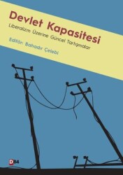 Devlet Kapasitesi - D84