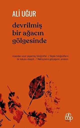 Devrilmiş Bir Ağacın Gölgesinde - Ahbap Kitap