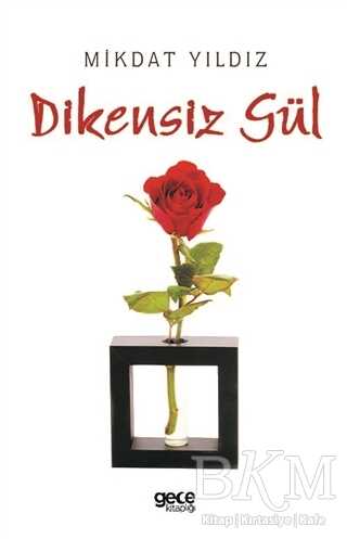 Dikensiz Gül - Gece Kitaplığı