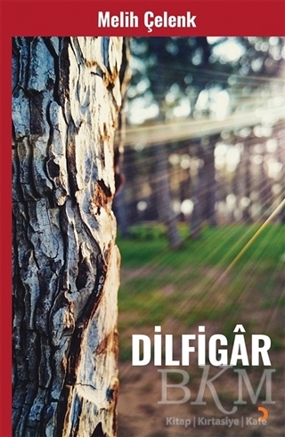 Dilfigar - Cinius Yayınları