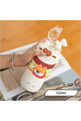 Dıller D9239 Paslanmaz Çelik Termos 520 Ml - 2