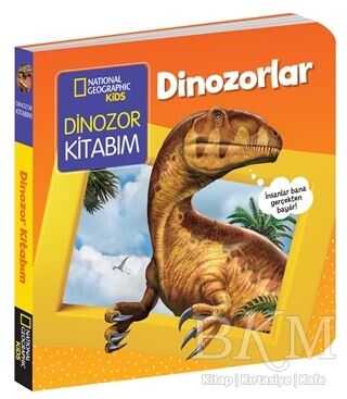 Dinozorlar Kitabım - İlk Kitaplarım Serisi - Beta Kids