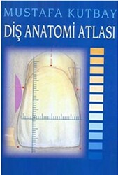 Diş Anatomi Atlası - Palme Yayıncılık