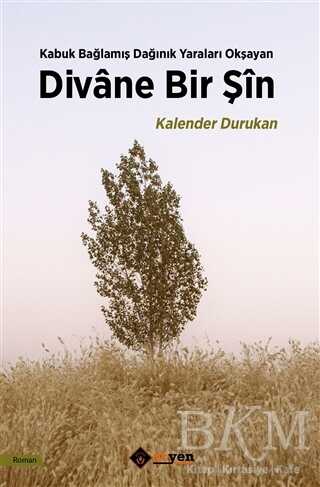 Divane Bir Şin - Aryen Yayınları