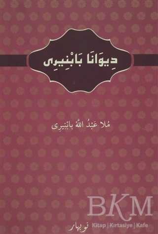 Diwanab Babniri - Nubihar Yayınları