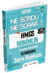 2025 HMGS Hakimlik İş Hukuku Ne Sordu Ne Sorar Soru Bankası - Dizgi Kitap