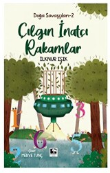 Çılgın Ve İnatçı Rakamlar - Çınaraltı Yayınları