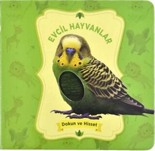 Dokun ve Hisset: Evcil Hayvanlar - 1