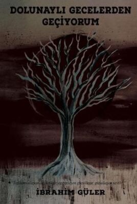Dolunaylı Gecelerden Geçiyorum - 1