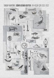 Dünya Denen Defter - Yitik Ülke Yayınları