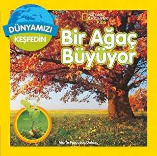 DÜNYAMIZI KEŞFEDİN - BİR AĞAÇ BÜYÜYOR - Beta Kids