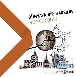 Dünyaya Bir Karşılık - Hayal Yayınları