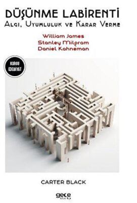 Düşünme Labirentleri - 1