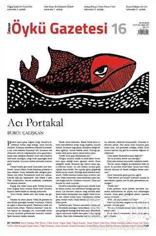 Edisyon Öykü Gazetesi Sayı: 16 Ağustos 2021 - Edisyon Öykü Gazetesi