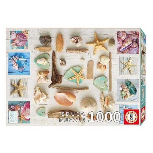 Educa Puzzle - 1000 Parça - Seashells Collage