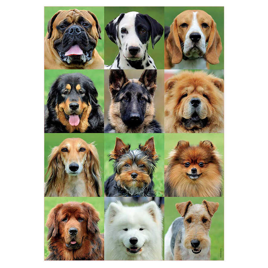 Educa Puzzle - 500 Parça - Dogs Collage
