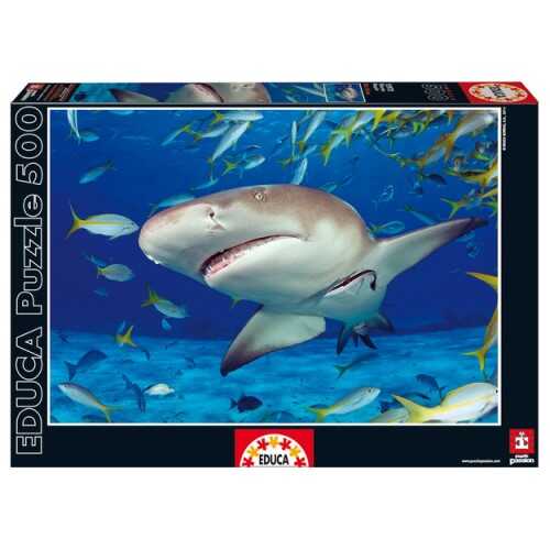Educa Puzzle - 500 Parça - Shark