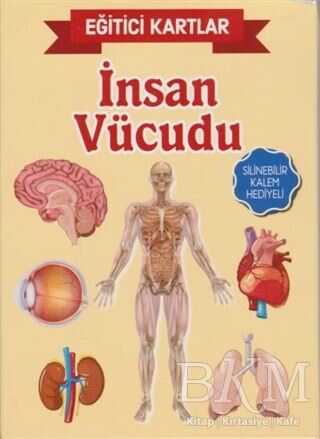 Eğitici Kartlar - İnsan Vücüdu - Teleskop Popüler Bilim