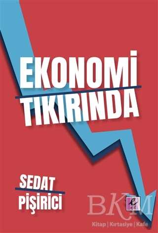 Ekonomi Tıkırında - Efil Yayınevi