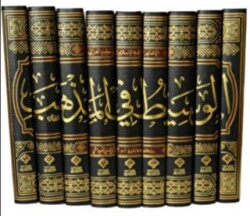 El - Vesit Fi-l Mezheb 9 Cilt - Nida Yayıncılık