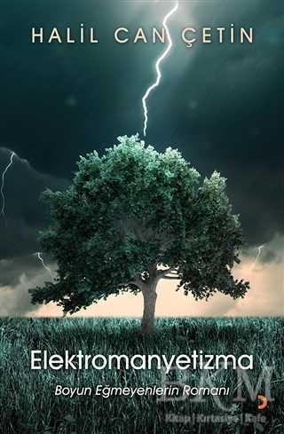 Elektromanyetizma - Cinius Yayınları