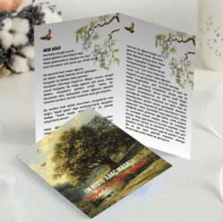 En Güzel Ağaç Masalı Rüzgara Fısıldayan Ağaçlar 1 - Türkiye Kültür Yayınları