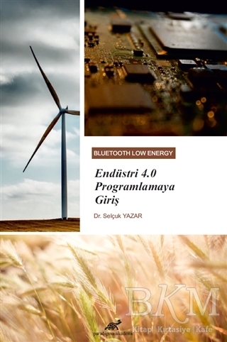 Endüstri 4.0 Programlamaya Giriş - Paradigma Akademi Yayınları