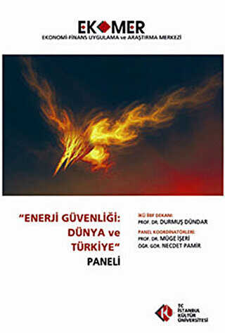 Enerji Güvenliği : Dünya ve Türkiye Paneli 2010