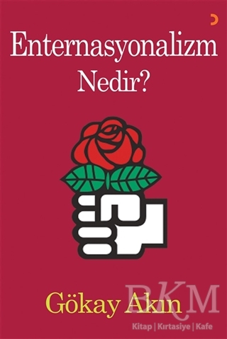 Enternasyonalizm Nedir? - Cinius Yayınları