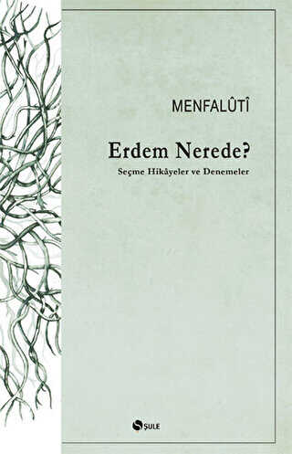 Erdem Nerede? - Şule Yayınları