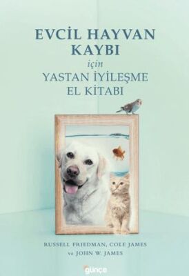 Evcil Hayvan Kaybı İçin Yastan İyileşme - 1