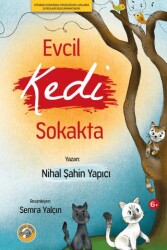 Evcil Kedi Sokakta - Akıllı Zebra
