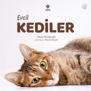 Evcil Kediler - 1