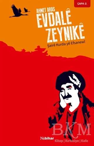 Evdale Zeynike - Nubihar Yayınları