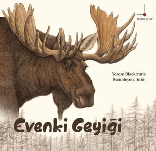 Evenki Geyiği - 1