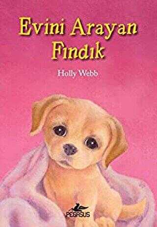 EVİNİ ARAYAN FINDIK - Pegasus Çocuk Yayınları