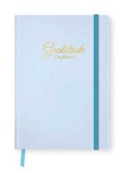 Fabooks Mavi Şükür Günlüğü - FAbooks