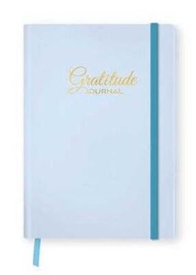 Fabooks Mavi Şükür Günlüğü - 1