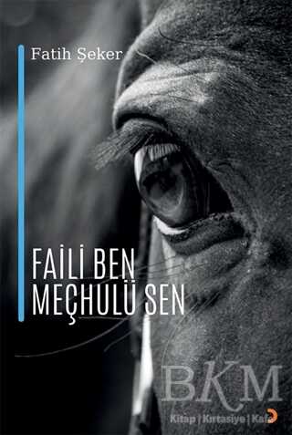 Faili Ben Meçhulü Sen - Cinius Yayınları