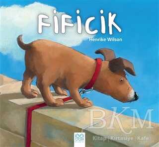 Fificik - 1001 Çiçek Kitaplar