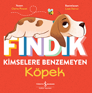 Fındık Kimselere Benzemeyen Köpek - İş Bankası Kültür Yayınları