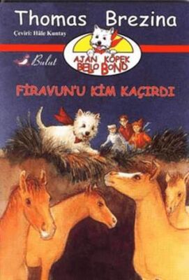 Firavun’u Kim Kaçırdı kapağı