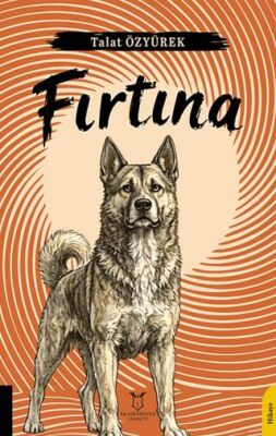 Fırtına - 1