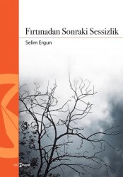 Fırtınadan Sonraki Sessizlik - Hayal Yayınları
