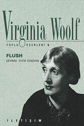 Flush - İletişim Yayınevi